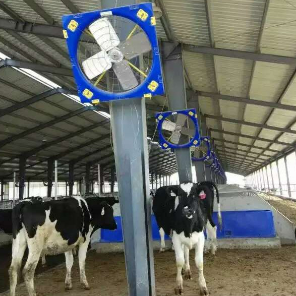 Su Soğutma Sistemi Endüstriyel Egzoz Ventilatörü EC veya DC Motor Tavuk Ventilatörü