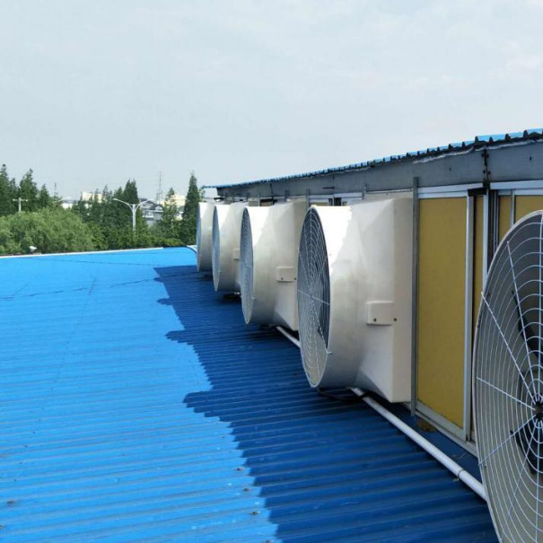 Galvanizli Çelik Tavuk Soğutma Dolaşım Ventilatörü Hava Hacı ve Çift Katmanlı PE Çerçeve
