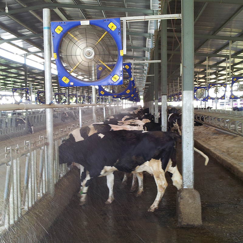 Yüksek Güçlü Çift Katmanlı PE Hayvancılık Dolaşım Ventilatörü 38 Blade Diametresi 28273m3/h Hava akışı 410w Giriş Gücü