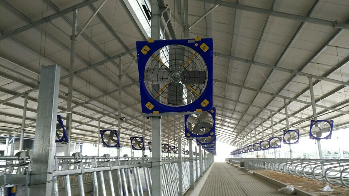 Güç 38 Çift katmanlı PE çerçeve ve 410w giriş gücü ile hayvancılık havalandırma dolaşım fanı