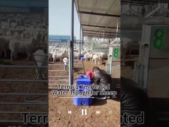 Sıcaklık Koruma Güvenilir Su Tedarikçiliği için Hayvanlık Su Tankı 200kg Kapasite