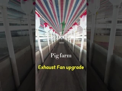 Hacim Endüstriyel Egzoz Ventilatörü 72 Inç Blade Diameter IP55 Koruma Derecesi