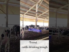 Hayvanlar için 220V300W ısıtıcı disklerin 3 seti ile LLDPE Hayvancılık Otomatik Suvarıcısı