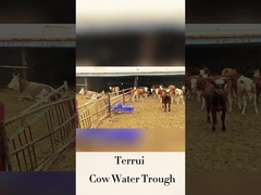 250 mm içme yüksekliği LLDPE akış hızı ile hayvancılık otomatik sulayıcısı