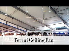 9.53m3/min Hava akışı Endüstriyel tavan fanı 14300 m3/min Maksimum çıkış