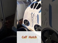 İzole edilmiş beyaz dikdörtgen polietilen süt sütü buzağıları