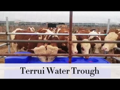 85L Mavi Ağır Görevli Sulama Tankı 3/4 örgülü hortumlu