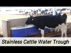 2 set 1800W ayarlanabilir ısıtma hayvancılık otomatik sulayıcısı akış hızı 100-120L/min