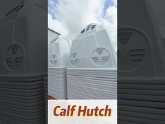 Onlardan Yüzlere Kadar Kilogram Beyaz Sütli Sığır Çantaları