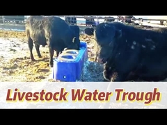 En yüksek su verimliliği için 40L/min Akış Hızı Mavi Sığır İçme Havuzu