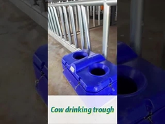 450mm içme yüksekliğinde kolay sulama için yüksek akış hızı olan inek sulayıcısı