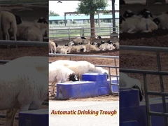 120L/min Akış Hızı Sığır İçme Havuzu 150L Tarımsal Üretim Kapasitesi