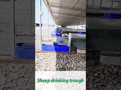 60L Kapasiteli Sığır İçme Çanaklığı 170*48*46cm Büyük Sürüler İçin İdeal