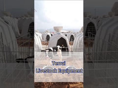 Beyaz Polietilen Süt Fırmaları için Temel Ekipman