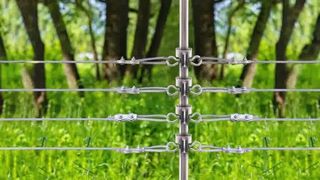 Hayvancılığınızı Güvenceye Alın: Elektrikli Çitlere T-Post İzolatörleri Nasıl Kurulur?