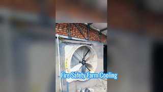 Yüksek Hızlı Havalandırma: Terrui Endüstriyel Egzoz Fanları İş Başında