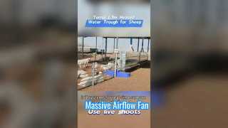 Aşırı Soğuk Koşullara Dayanacak Dayanıklı Plastik Muhafazadan Yapılmış 1,7m Isıtmalı Hayvancılık Su Yalığı